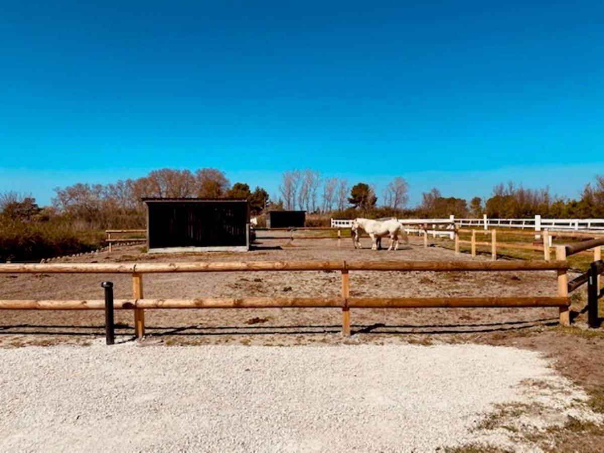 Gites Equestres Lou Caloun - Les Saintes Maries De La Mer Exterior foto