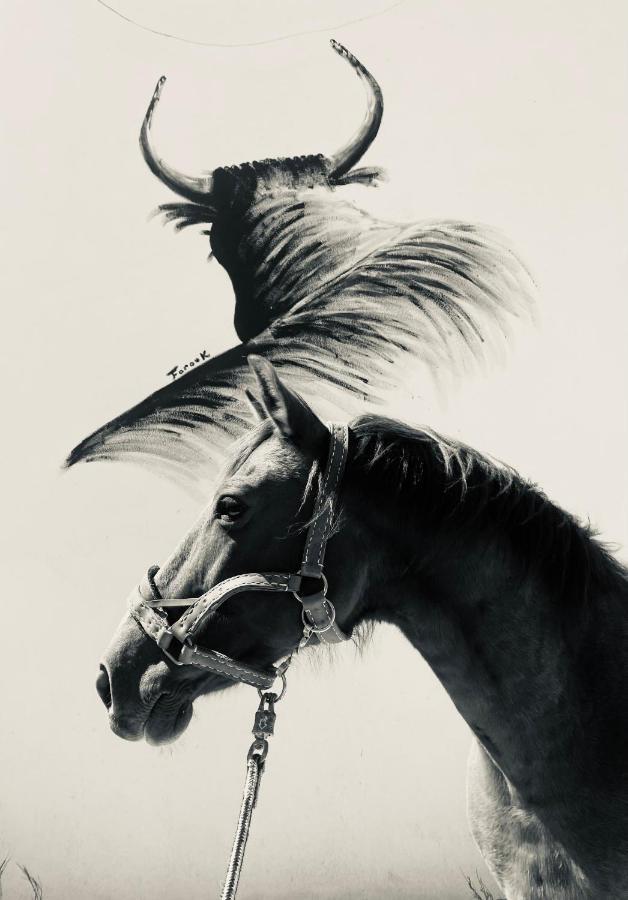 Gites Equestres Lou Caloun - Les Saintes Maries De La Mer Exterior foto