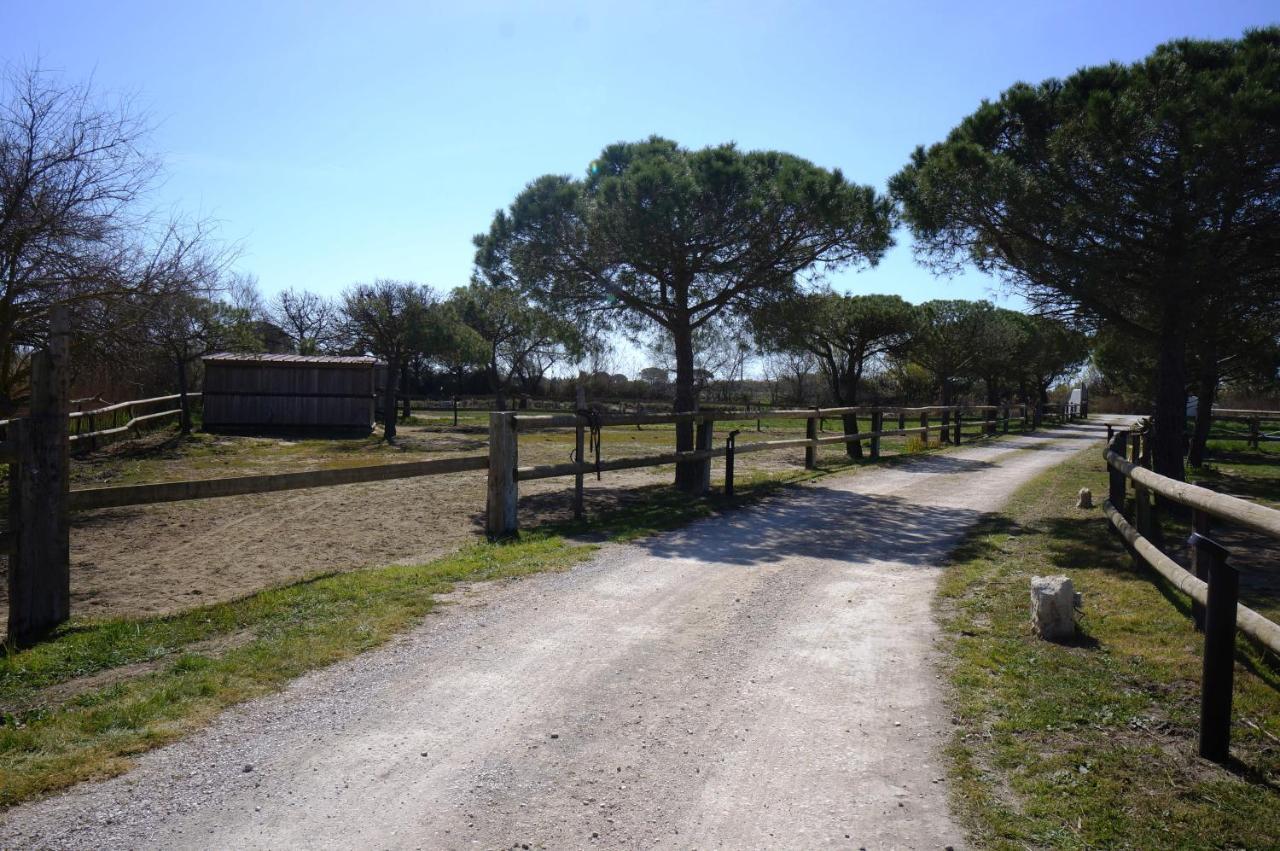 Gites Equestres Lou Caloun - Les Saintes Maries De La Mer Exterior foto