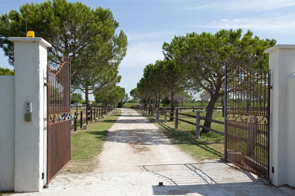 Gites Equestres Lou Caloun - Les Saintes Maries De La Mer Zimmer foto